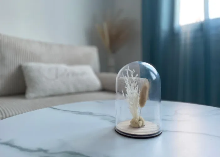 Bleu Ciel De Reve * Perpignan